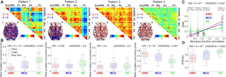 New Study Gets Us Closer to Clear Definition of Human Consciousness New Study Gets Us Closer to Clear Definition of Human Consciousness
