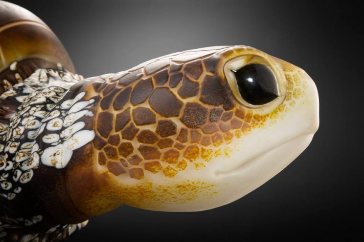 This Glass Artist Created a Sea Turtle Sculpture So Lifelike You'll Swear It's Real