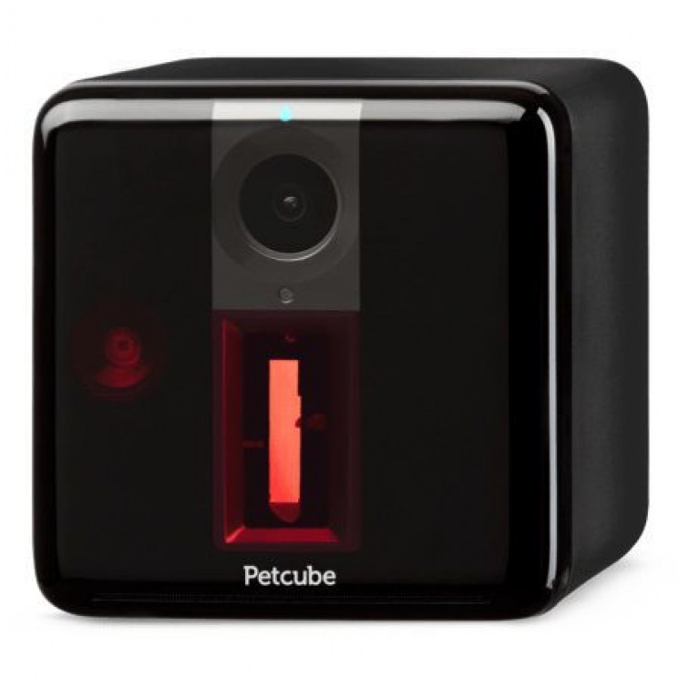 gadgets for pets Petcube