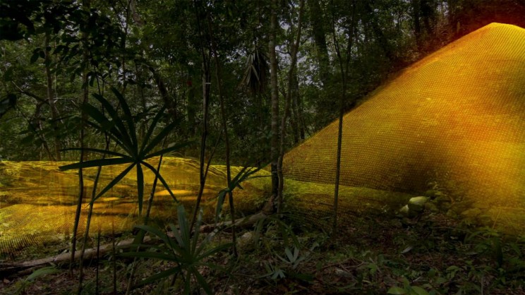 Researchers Use LiDAR to Find 60,000 Mayan Ruins Hidden in a Jungle