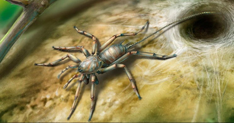Researchers Discover 100-Million-Year-Old Spider with Tail 'Frozen' in Amber