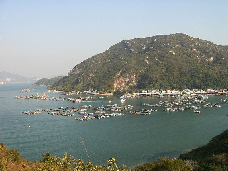 These Massive Floating Fish Farms in China Provide Most of the World's Seafood These Massive Floating Fish Farms in China Provide Most of the World's Seafood