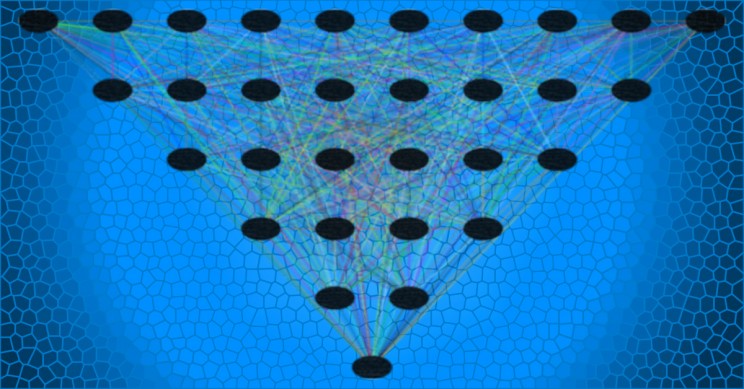 Opaque Neural Network Opaque Neural Network