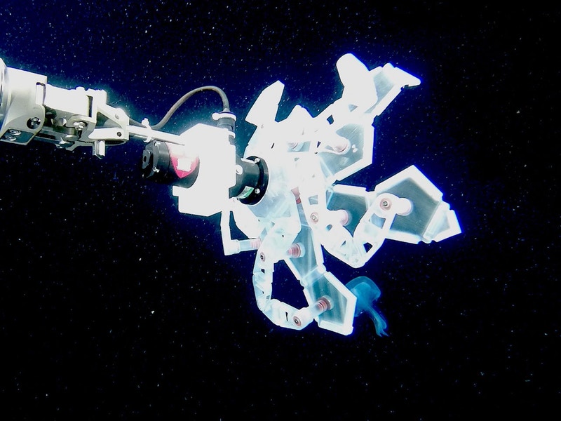 This Pokéball-Like Device Handles Delicate Sea Creatures Without Harming Them This Pokéball-Like Device Handles Delicate Sea Creatures Without Harming Them