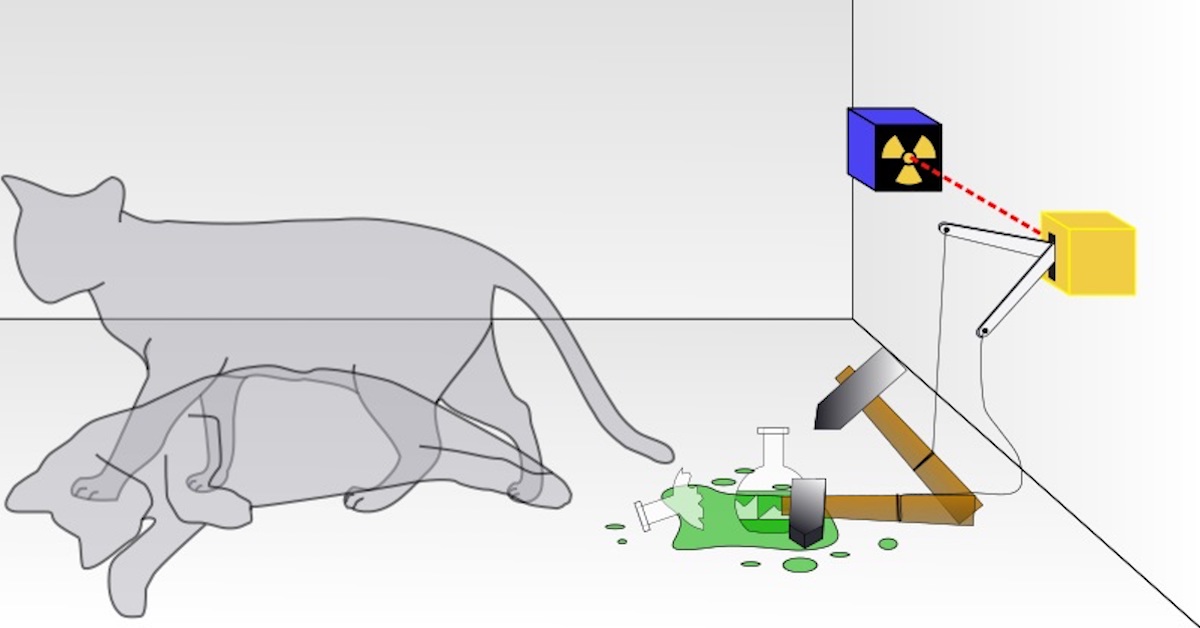einstein fails https://inteng-storage.s3.amazonaws.com/images/JULY/Schrodingers-cat-paradox.jpg