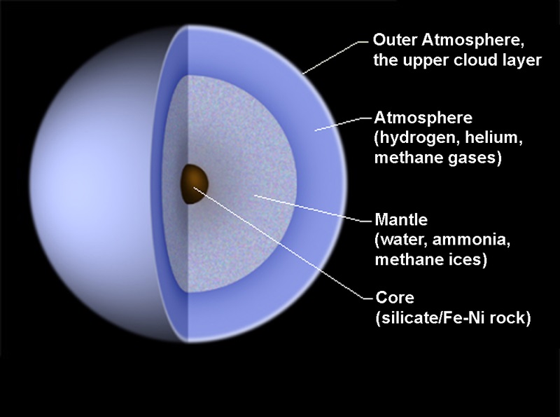 uranus anatomy