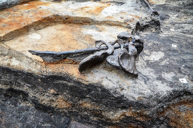 Archeologists Find Evidence of Extremely Violent Battle That Took Place 2000 Years Ago Archeologists Find Evidence of Extremely Violent Battle That Took Place 2000 Years Ago