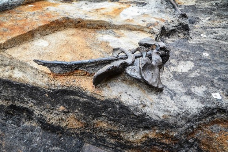Archeologists Find Evidence of Extremely Violent Battle That Took Place 2000 Years Ago Archeologists Find Evidence of Extremely Violent Battle That Took Place 2000 Years Ago