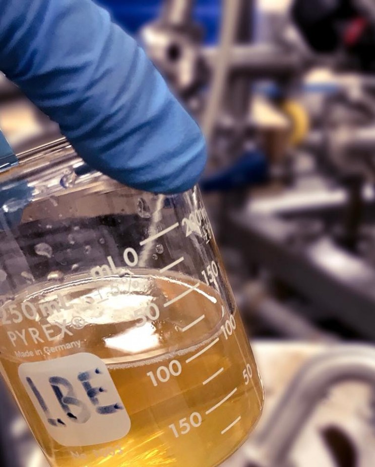 Canadians Create First-Ever Beer Brewed from Cannabis Plant Canadians Create First-Ever Beer Brewed from Cannabis Plant