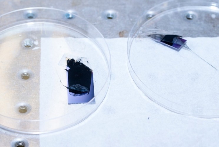 These Carbon Nanotubes Could Power Gadgets Through Clothing These Carbon Nanotubes Could Power Gadgets Through Clothing