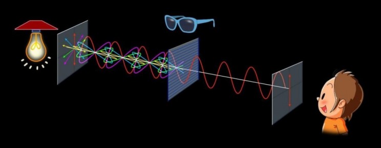 Polarization Polarization filters light so that it vibrates in one direction.