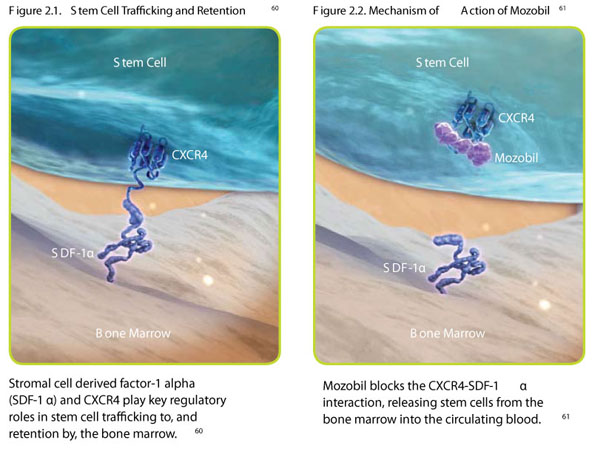 11 of the Most Exciting Stem Cell Research and Studies Set to Revolutionize Healthcare 11 of the Most Exciting Stem Cell Research and Studies Set to Revolutionize Healthcare