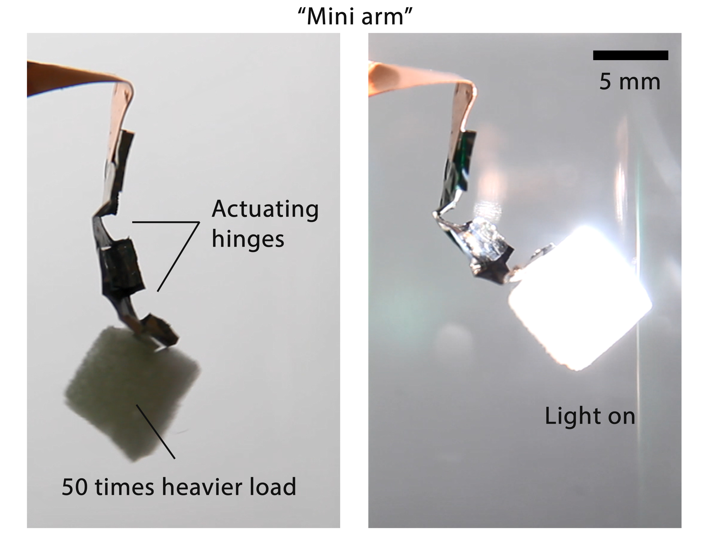 Engineers Invent New Actuating Material That Can Replace Motors in Future Robots Engineers Invent New Actuating Material That Can Replace Motors in Future Robots