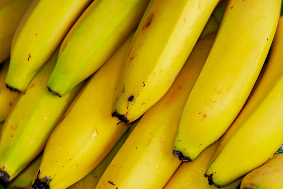13 Bioplastic Innovations That Might Save the Environment 13 Bioplastic Innovations That Might Save the Environment