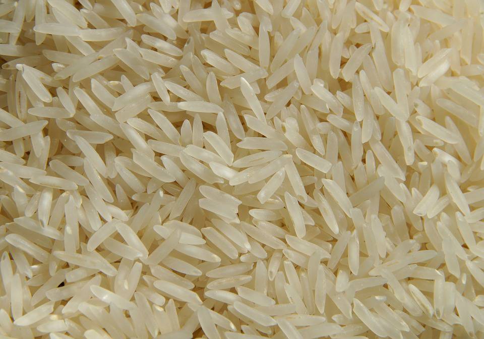 13 Bioplastic Innovations That Might Save the Environment 13 Bioplastic Innovations That Might Save the Environment