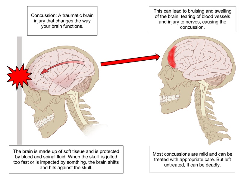 11 Interesting Discoveries of the Brain Over the Past Ten Years 11 Interesting Discoveries of the Brain Over the Past Ten Years