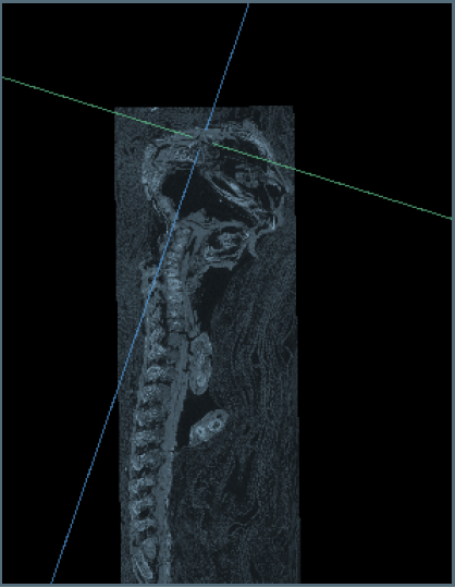 Research Revealed the 2,100-Year-Old Tiny ‘Hawk’ Mummy Contains Abnormal Stillborn Baby Research Revealed the 2,100-Year-Old Tiny ‘Hawk’ Mummy Contains Abnormal Stillborn Baby