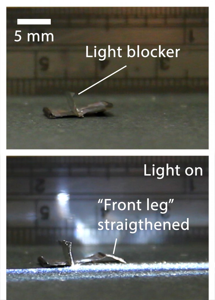 Engineers Invent New Actuating Material That Can Replace Motors in Future Robots Engineers Invent New Actuating Material That Can Replace Motors in Future Robots