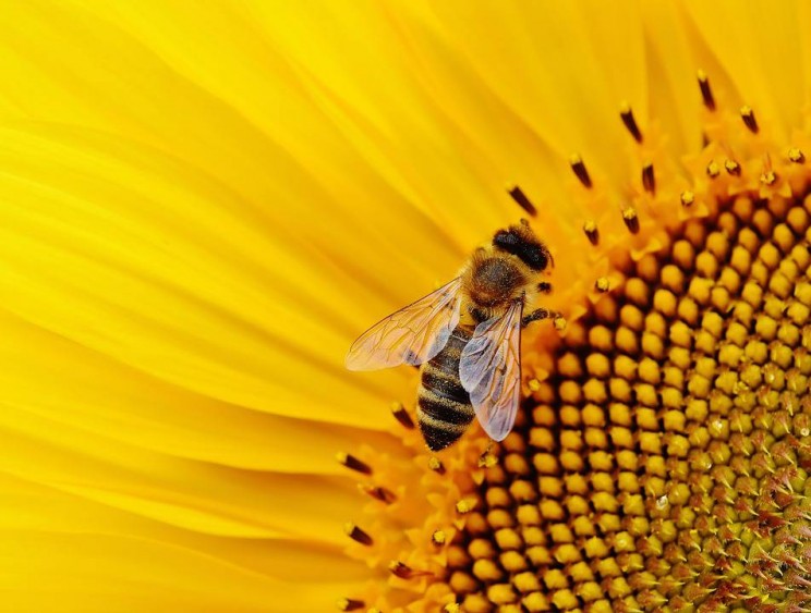 13 Bioplastic Innovations That Might Save the Environment 13 Bioplastic Innovations That Might Save the Environment