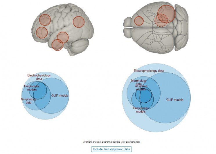 11 Interesting Discoveries of the Brain Over the Past Ten Years 11 Interesting Discoveries of the Brain Over the Past Ten Years