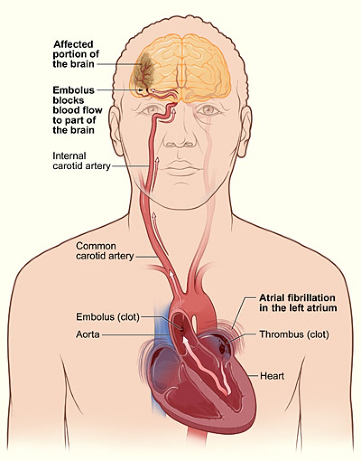 11 Interesting Discoveries of the Brain Over the Past Ten Years 11 Interesting Discoveries of the Brain Over the Past Ten Years