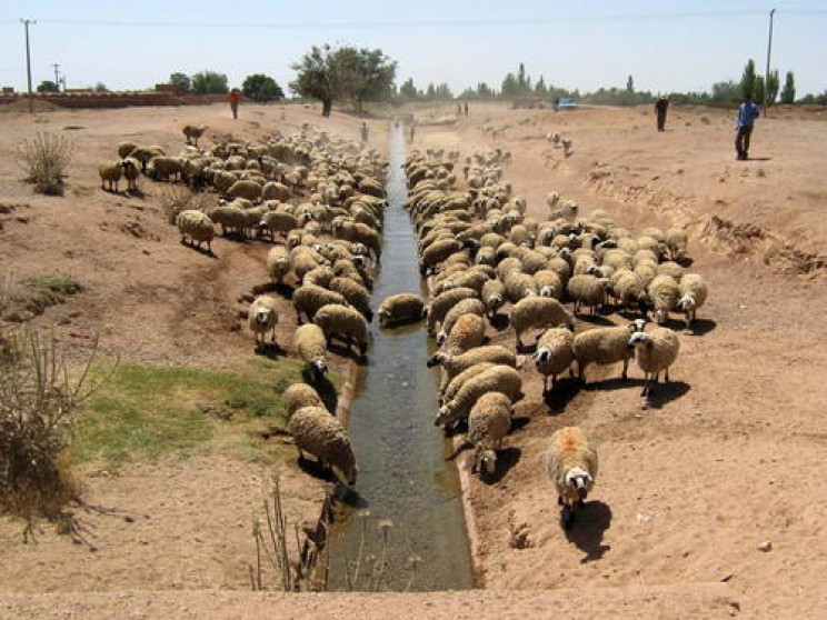 Iran's Underground 'Qanat' Channels Are Ingenious Ancient Solutions for Sourcing Water Iran's Underground 'Qanat' Channels Are Ingenious Ancient Solutions for Sourcing Water