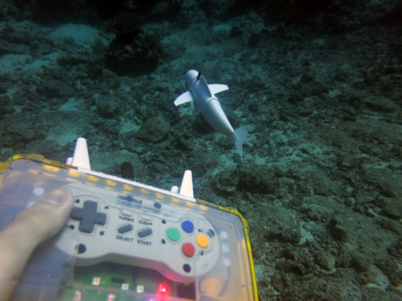 New Robotic Fish Could Change How Researchers Study Sea Life New Robotic Fish Could Change How Researchers Study Sea Life