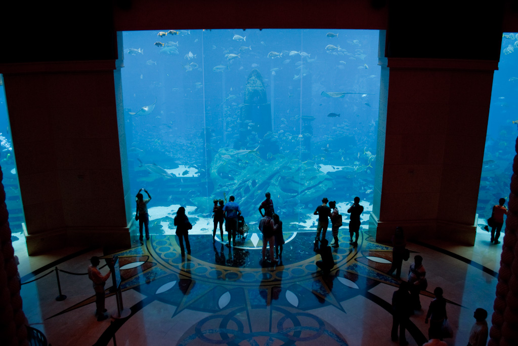 5 Unbelievable Underwater Hotels and the Engineering That Made Them Possible 5 Unbelievable Underwater Hotels and the Engineering That Made Them Possible