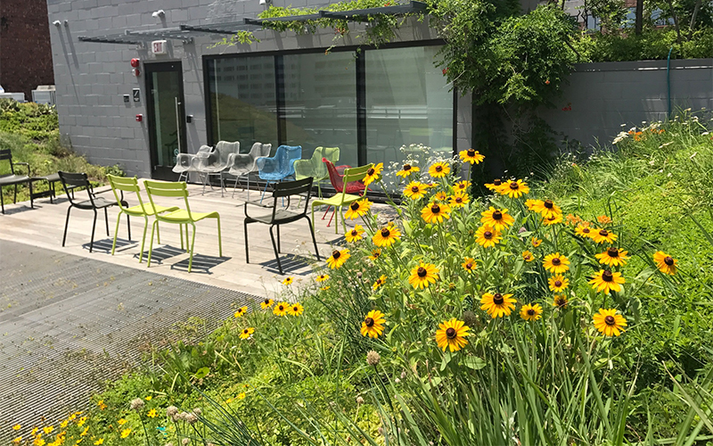 15 Interesting Green Roofs From Around the World 15 Interesting Green Roofs From Around the World