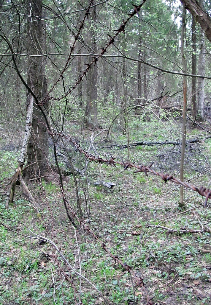 Remnants of the Cold War: An Abandoned Soviet Union Missile Launcher in a Russian Forest Remnants of the Cold War: An Abandoned Soviet Union Missile Launcher in a Russian Forest