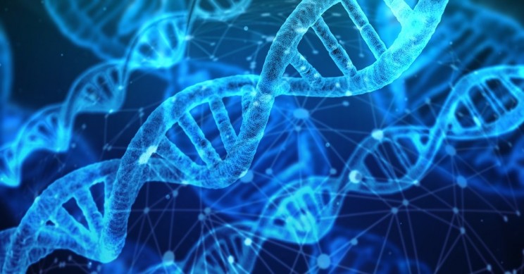 DNA-CRISPR DNA CRISPR