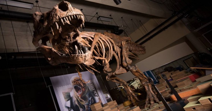 origin of life fossil