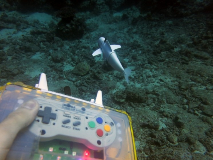 New Robotic Fish Could Change How Researchers Study Sea Life New Robotic Fish Could Change How Researchers Study Sea Life
