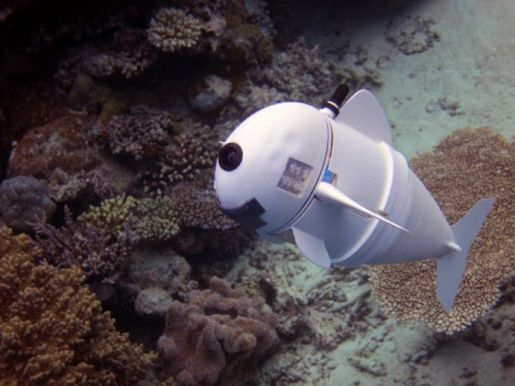 New Robotic Fish Could Change How Researchers Study Sea Life