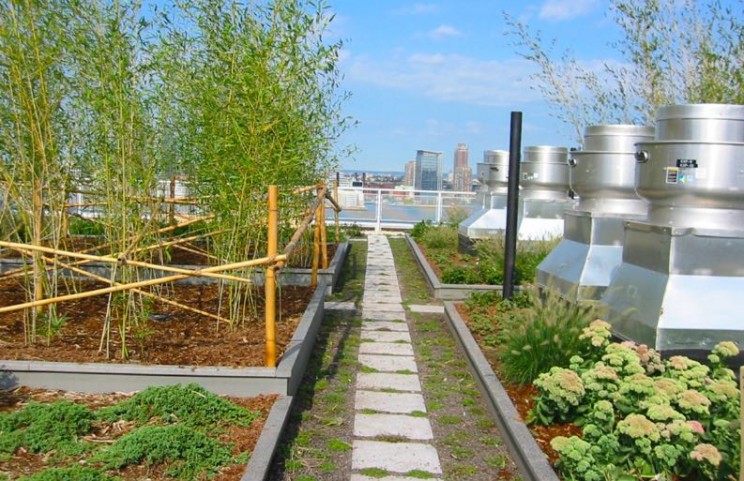 15 Interesting Green Roofs From Around the World 15 Interesting Green Roofs From Around the World