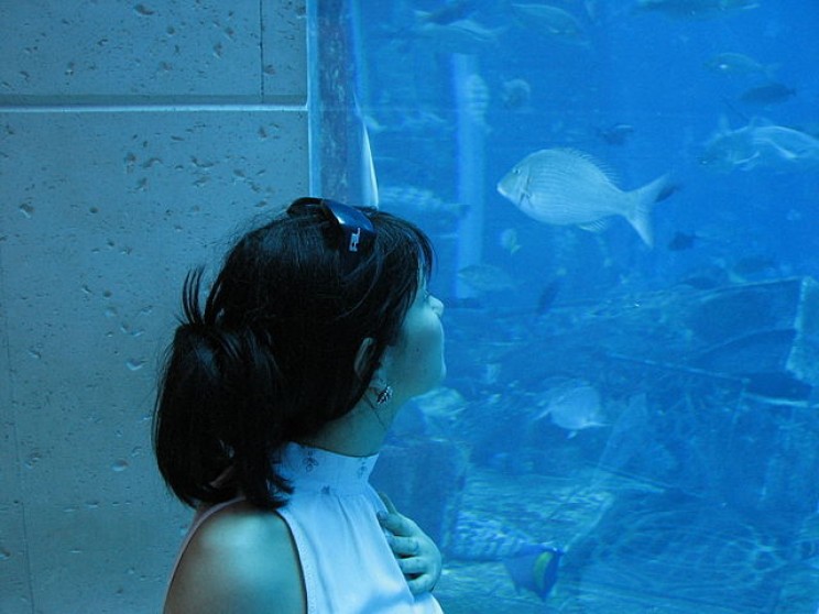 5 Unbelievable Underwater Hotels and the Engineering That Made Them Possible 5 Unbelievable Underwater Hotels and the Engineering That Made Them Possible