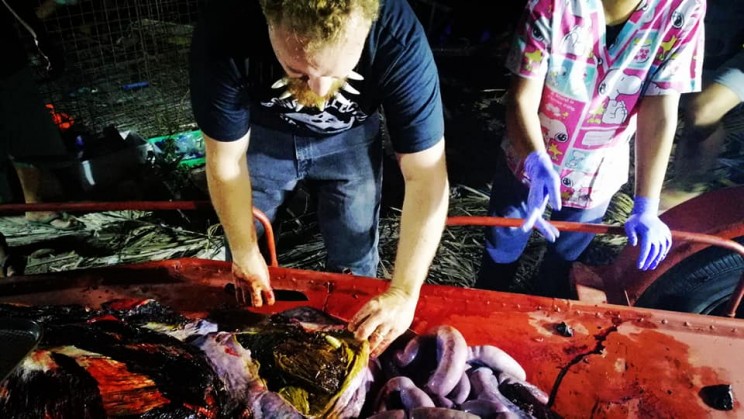 Young Whale Starved to Death with More Than 40 Kilograms Plastic in Its Stomach Young Whale Starved to Death with More Than 40 Kilograms Plastic in Its Stomach