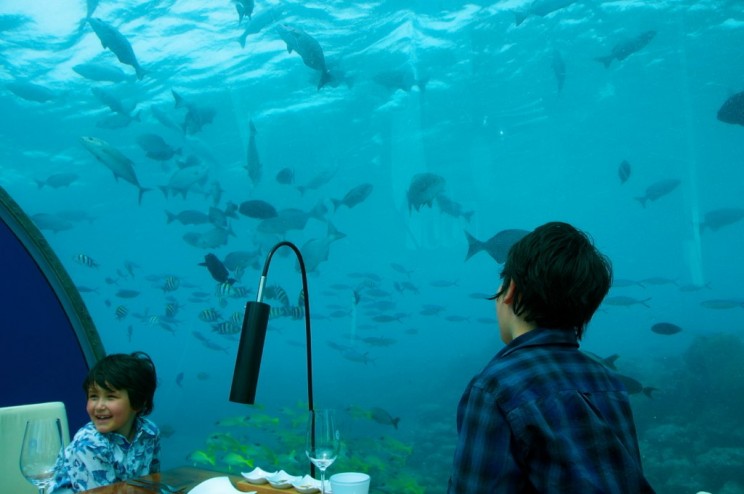 5 Unbelievable Underwater Hotels and the Engineering That Made Them Possible 5 Unbelievable Underwater Hotels and the Engineering That Made Them Possible