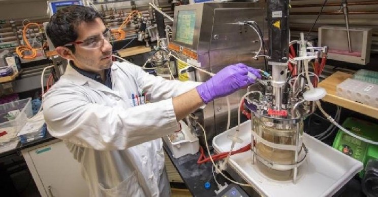 Plant-Based Jet Fuels Could be Cost Competitive with Fossil Fuels Plant-Based Jet Fuels Could be Cost Competitive with Fossil Fuels