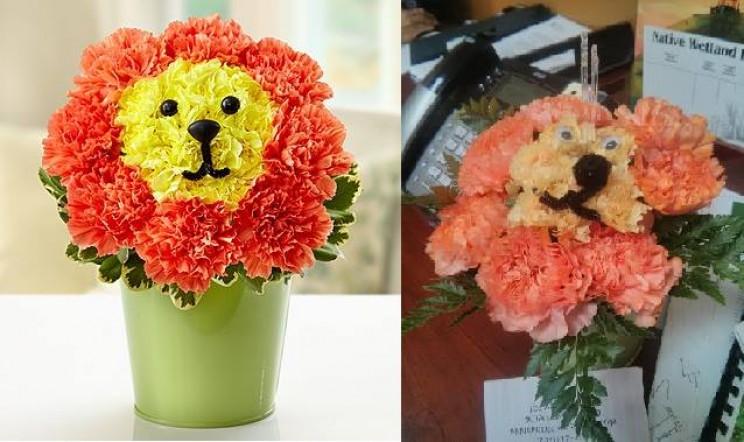 21 Online Products That Hilariously Disappointed Their Buyers 21 Online Products That Hilariously Disappointed Their Buyers