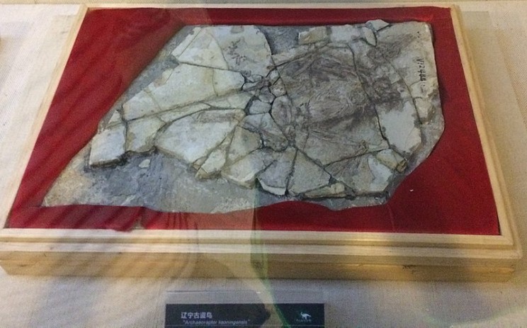 science hoaxes archaeoraptor