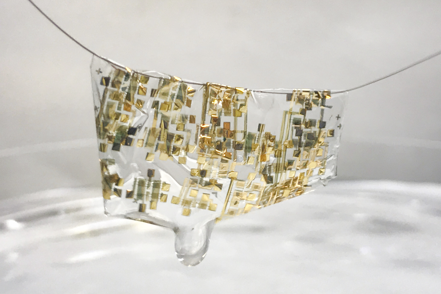 17 Items That Can Now Become Biodegradable Thanks to Recycling Innovations 17 Items That Can Now Become Biodegradable Thanks to Recycling Innovations