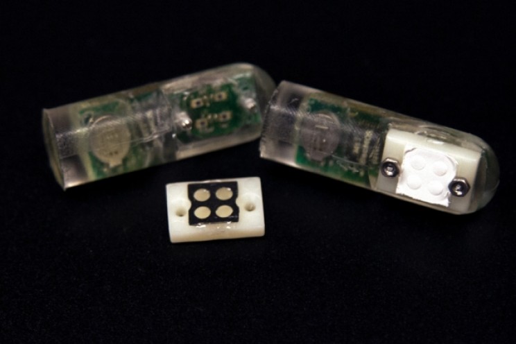 Scientists Develop Ingestible 'Bacteria on a Chip' That Could Diagnose Gastric Bleeding Scientists Develop Ingestible 'Bacteria on a Chip' That Could Diagnose Gastric Bleeding