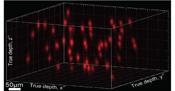 Scientists Are Using Holograms to Edit Brain Activity Scientists Are Using Holograms to Edit Brain Activity