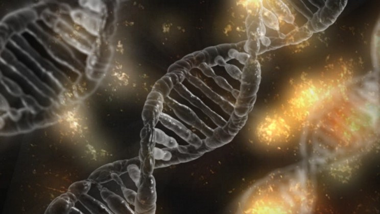 Will Humans Ever Be Immortal? These 11 Theories and Technologies Will Shed Some Light on It Will Humans Ever Be Immortal? These 11 Theories and Technologies Will Shed Some Light on It