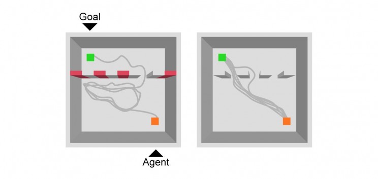 Maze-Solving Artificial Intelligence Teaches Itself to Take Shortcuts