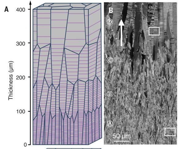 Nanoscale Space Within the Metal Lattice Structure Nanoscale Space Within the Metal Lattice Structure