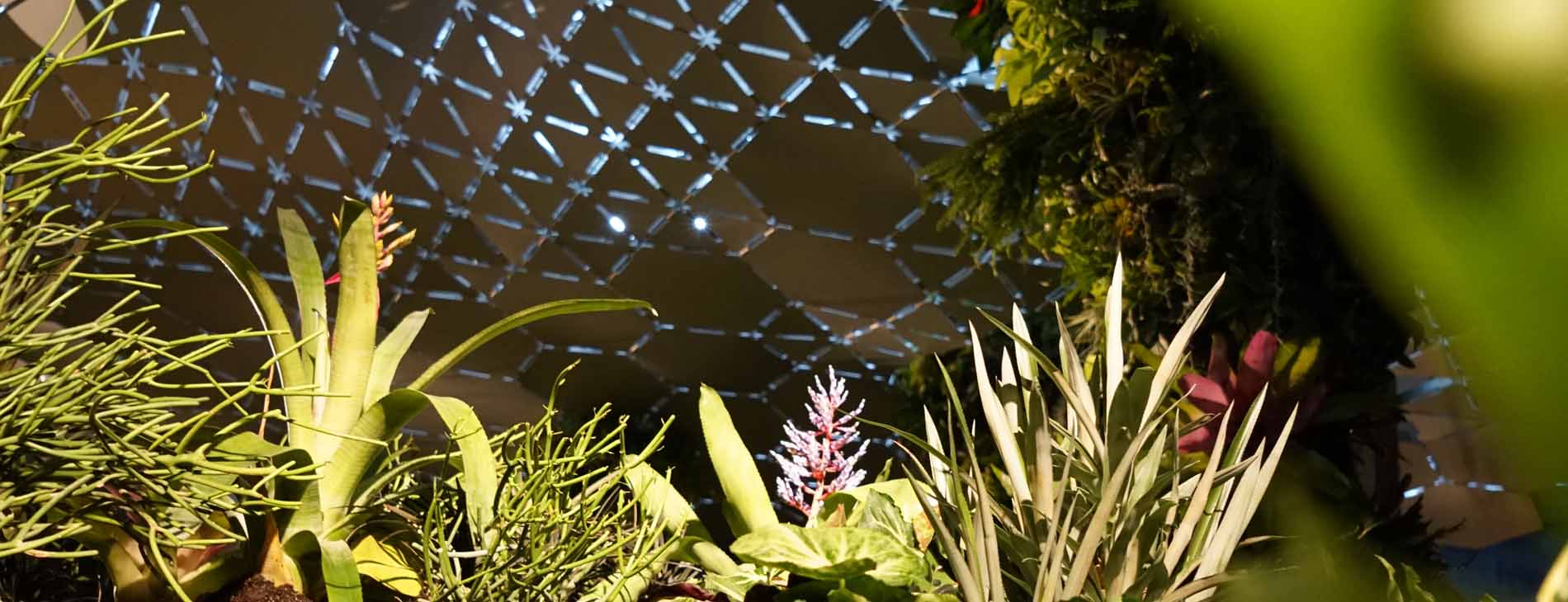 This Solar Funnel Technology Allows Plants to Thrive Deep Underground This Solar Funnel Technology Allows Plants to Thrive Deep Underground