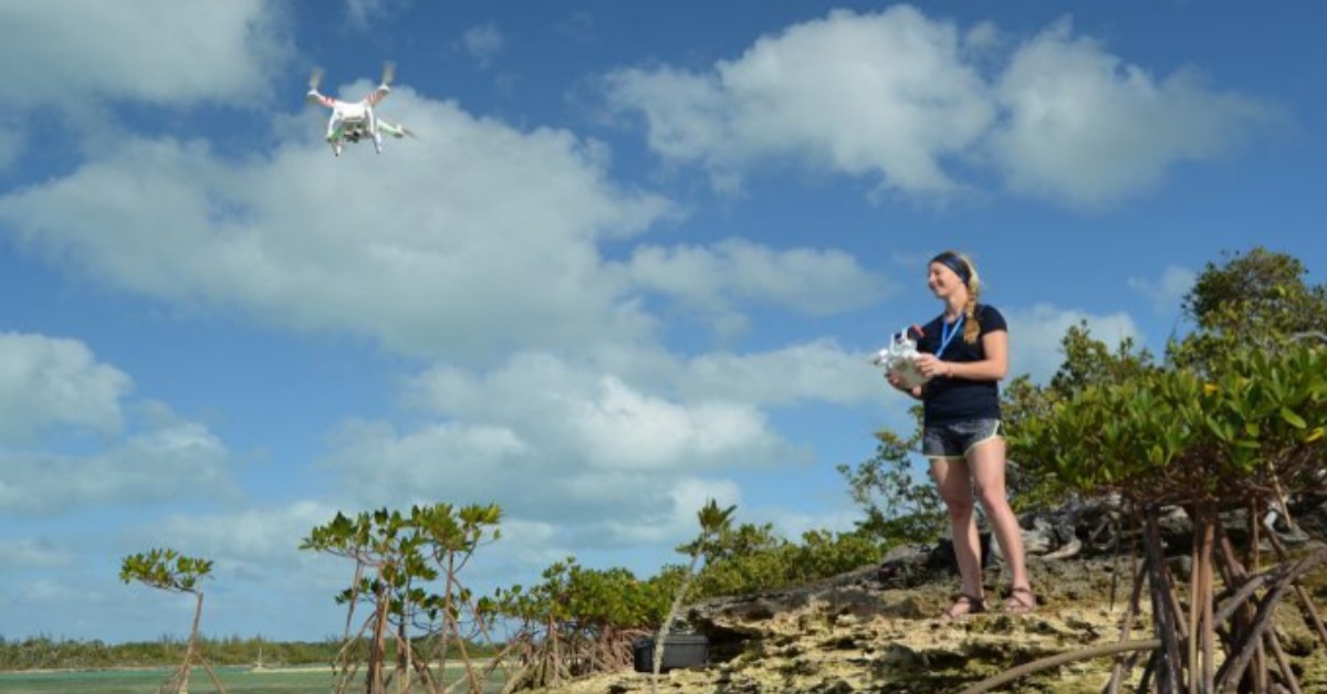 Drones Play New Role in Tracking Ocean’s Biggest Creatures Drones Play New Role in Tracking Ocean’s Biggest Creatures