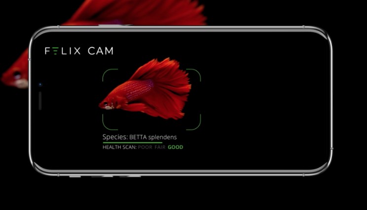 Check Out FELIX - The World’s First Smart Computer For Aquariums Check Out FELIX - The World’s First Smart Computer For Aquariums
